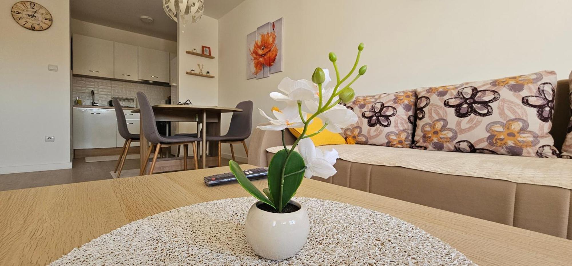 Apartman Vukota 2 Pirot Eksteriør bilde